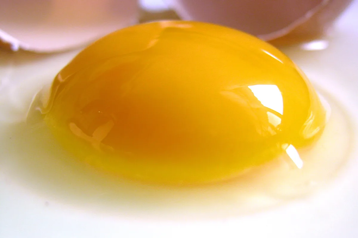 Raw egg used as illustrative biotin food context