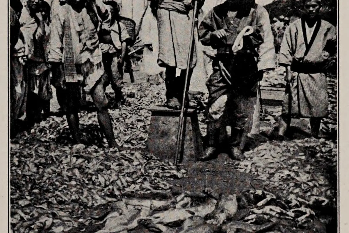Fish market image used as illustrative L-taurine food context