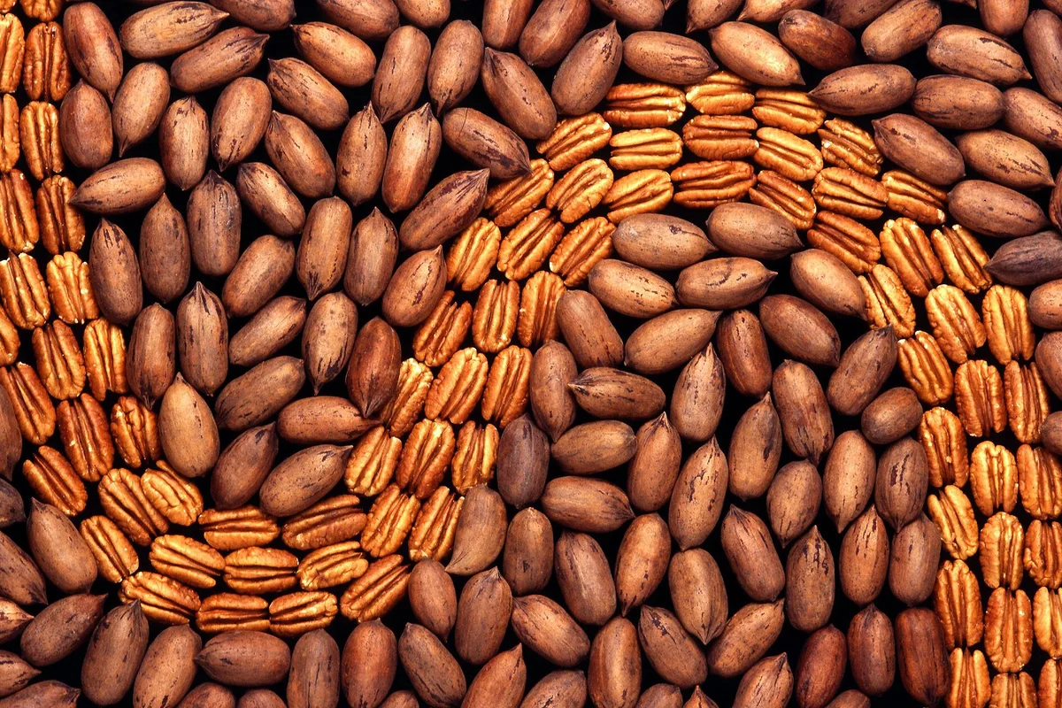 Pecans used as illustrative manganese food context
