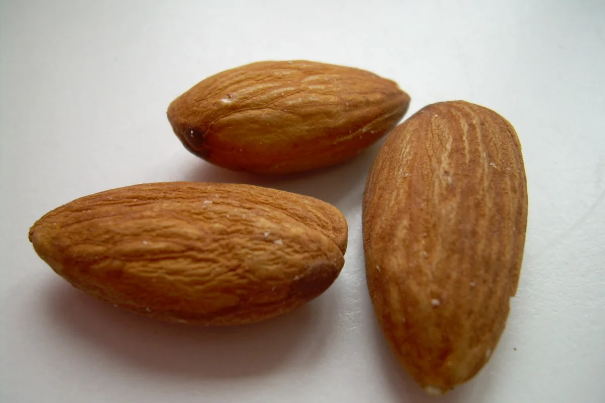 Almonds used as illustrative vitamin E food context